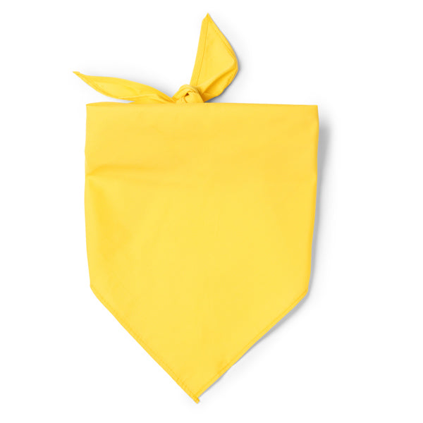 JARANA - AMARILLO